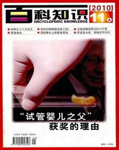 2010年第21期