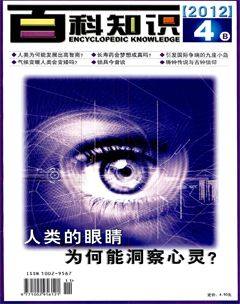 2012年第8期