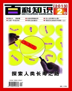2013年第3期