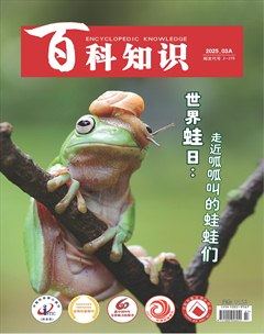 百科知识