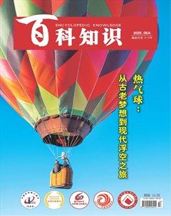 百科知识