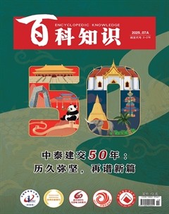 百科知識