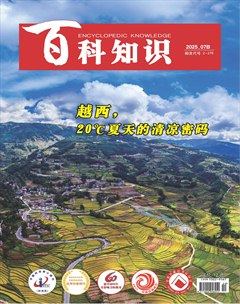 百科知識