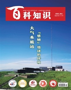 百科知识