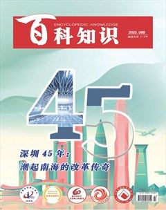 百科知识