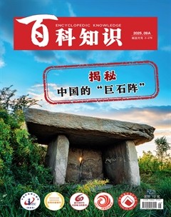 百科知識(shí)