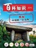 百科知识