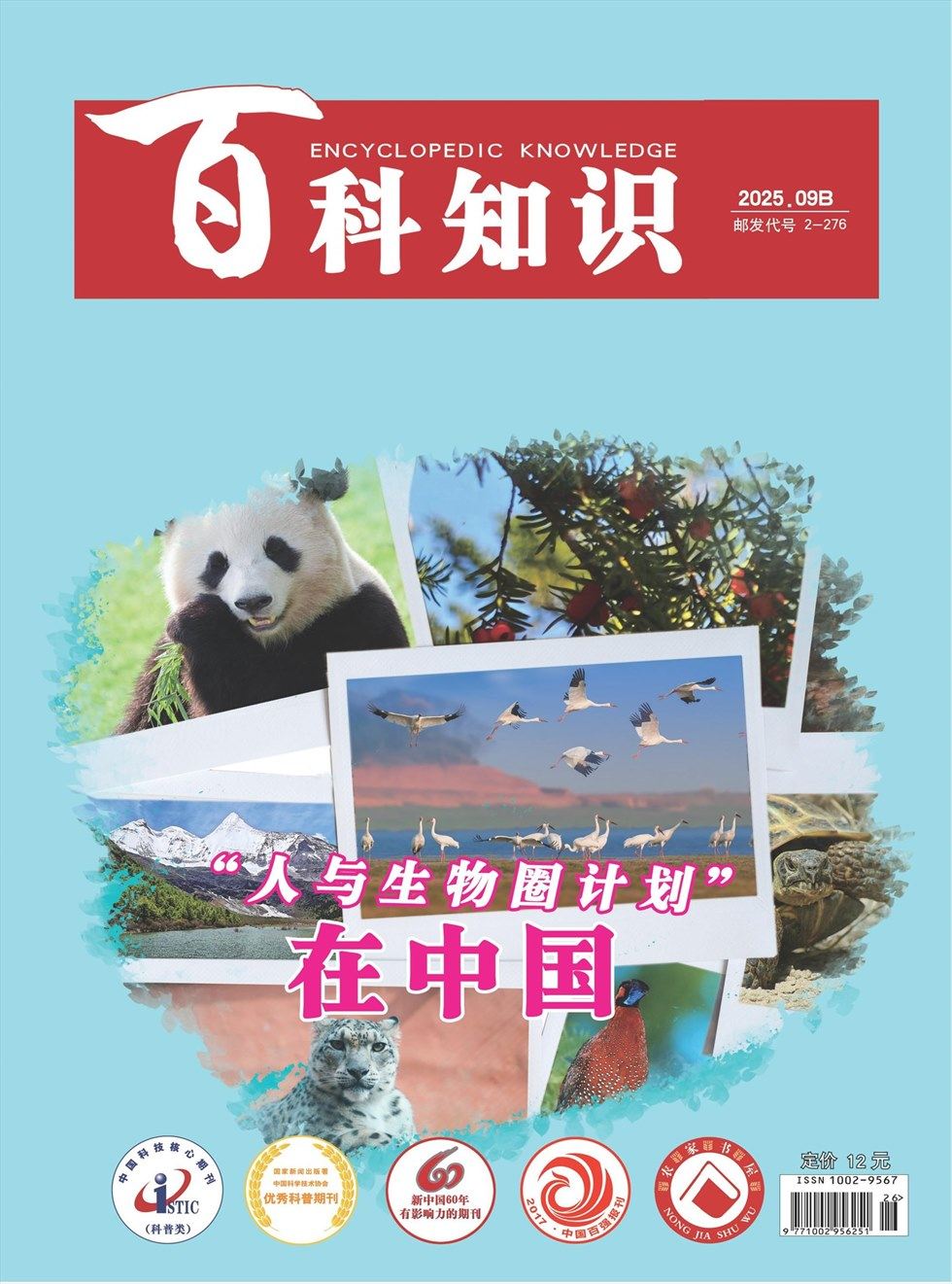 百科知识