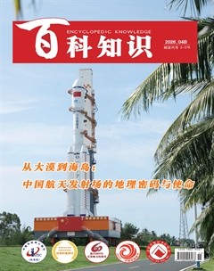 百科知识