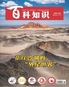 百科知识
