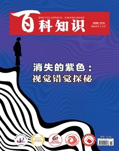 百科知识