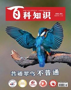 百科知识