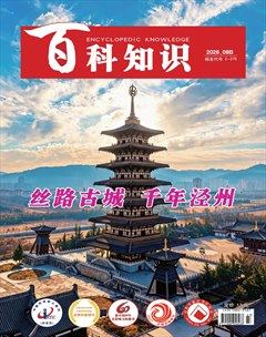 百科知识