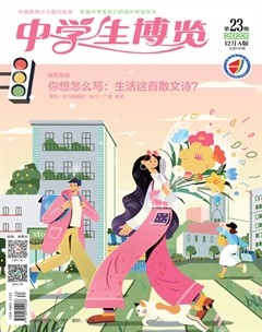 中学生博览