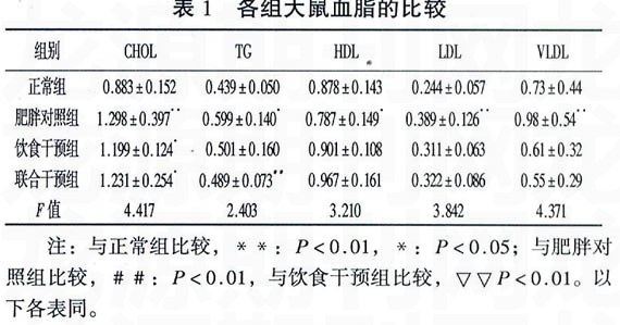 zoޛ)j 	dM��B�<4$PdM�D$PdM�D$PdM�D$�@=Q	1iFN6]4~m5Mӟti