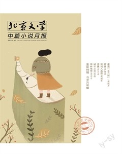 北京文学·中篇小说月报