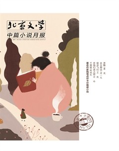 北京文学·中篇小说月报