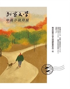 北京文學(xué)·中篇小說(shuō)月報(bào)