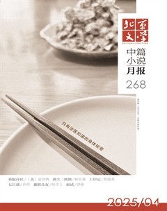北京文学·中篇小说月报