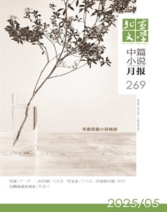 北京文学·中篇小说月报