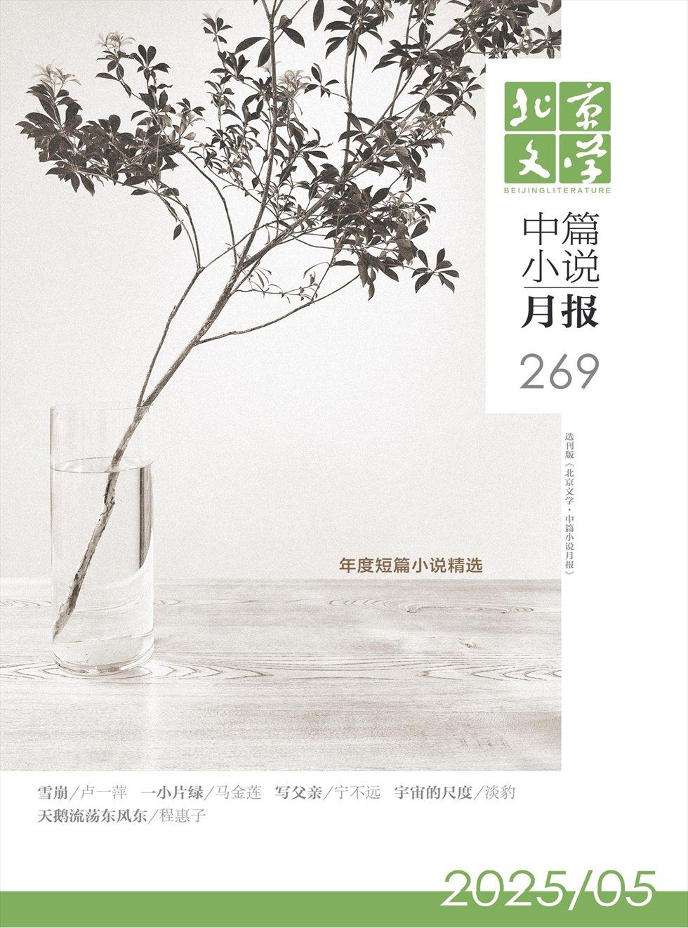 北京文学·中篇小说月报