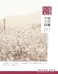北京文學(xué)·中篇小說(shuō)月報(bào)