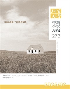 北京文学·中篇小说月报