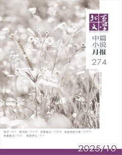 北京文学·中篇小说月报