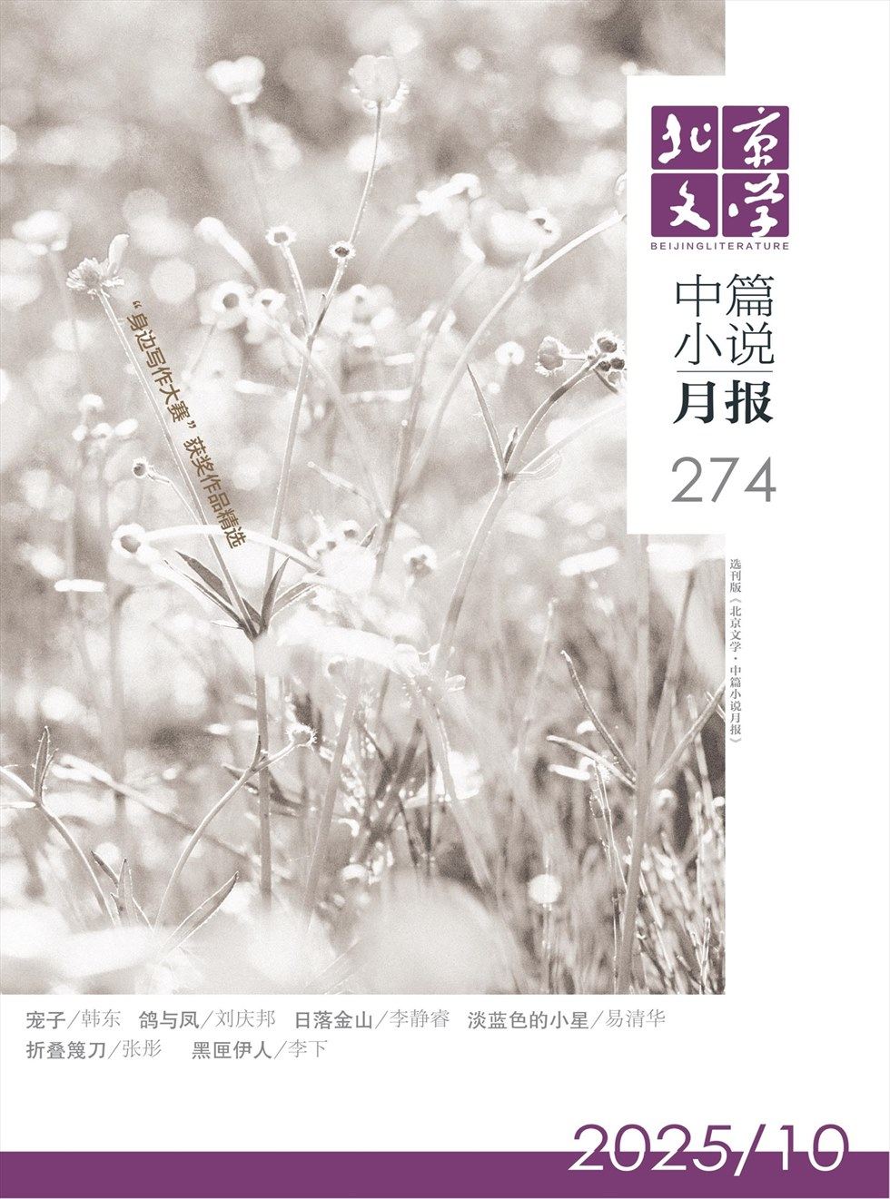北京文学·中篇小说月报