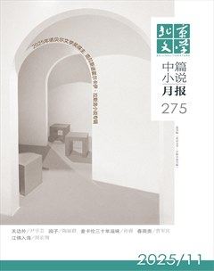 北京文学·中篇小说月报