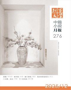 北京文学·中篇小说月报