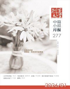 北京文学·中篇小说月报