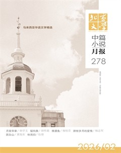 北京文学·中篇小说月报