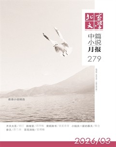 北京文学·中篇小说月报