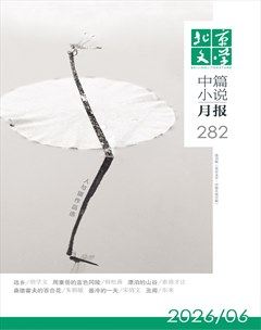 北京文学·中篇小说月报