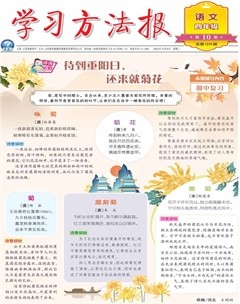 学习方法报·小学语文四年级