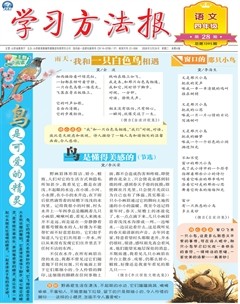 学习方法报·小学语文四年级