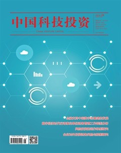 中国科技投资