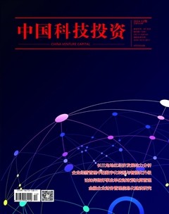 中國科技投資