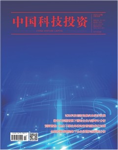 中国科技投资