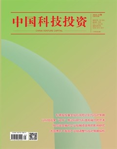 中國科技投資
