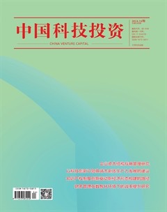 中国科技投资