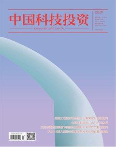 中国科技投资