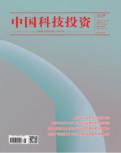 中国科技投资