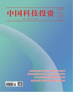 中国科技投资