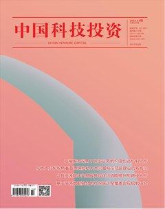 中国科技投资
