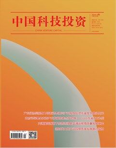 中国科技投资