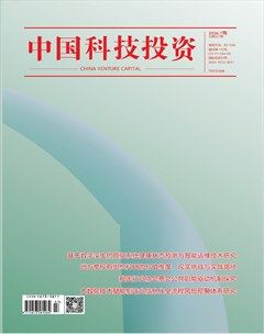 中国科技投资