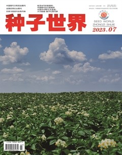 种子世界