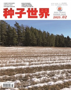 种子世界